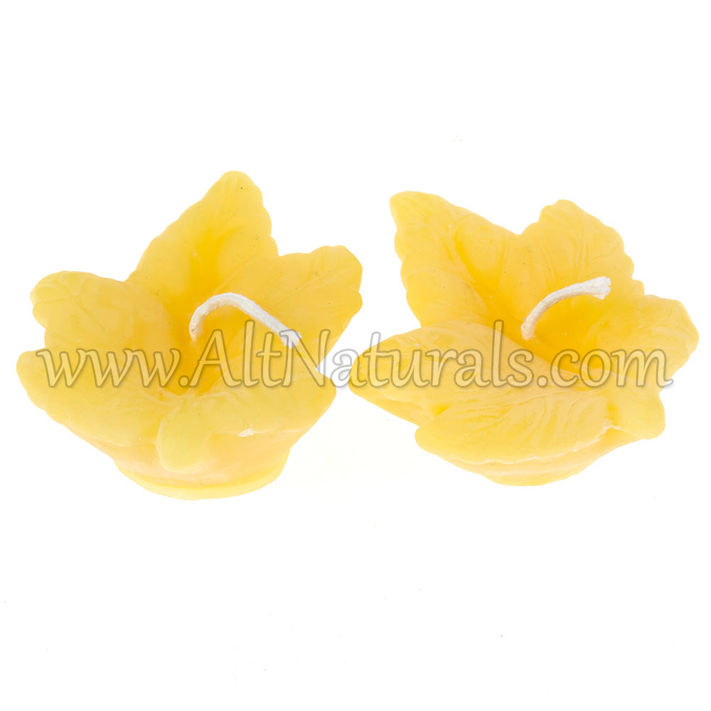 2 Maple Leaves - Shaped Beeswax Candles