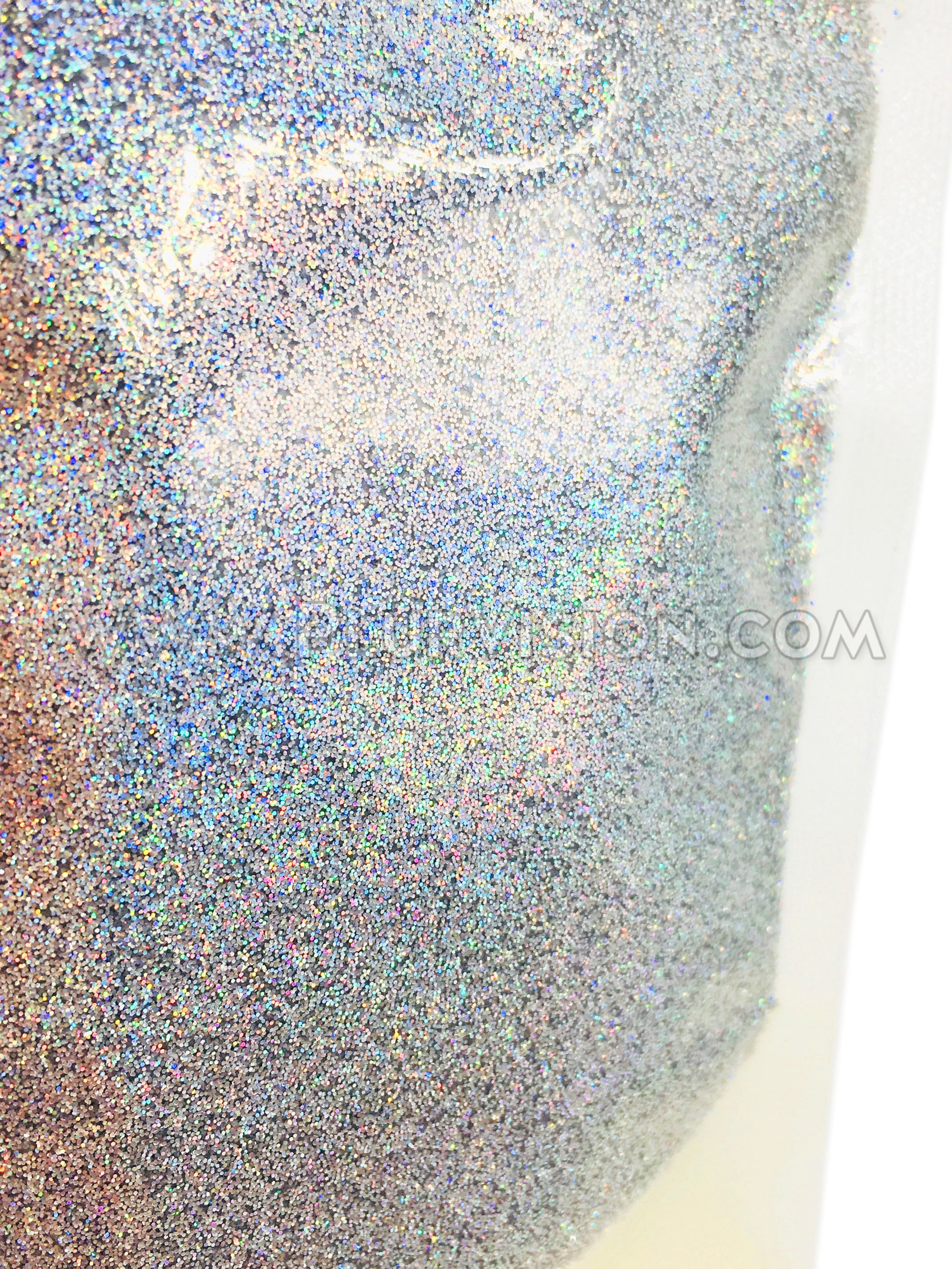 ✨ Moonlit Silver Biodegradable Glitter! ✨