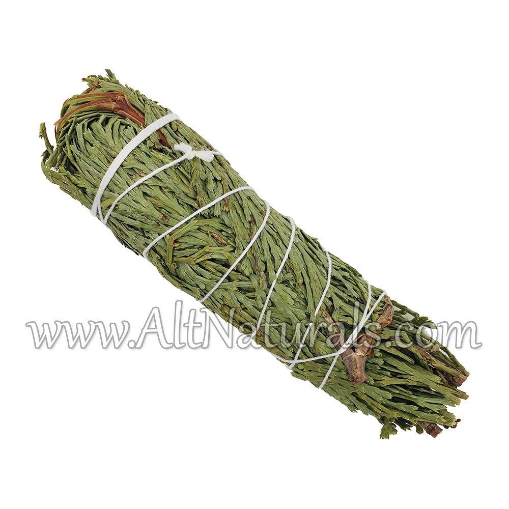 Cedar Incense Bundle (Pack of 3)