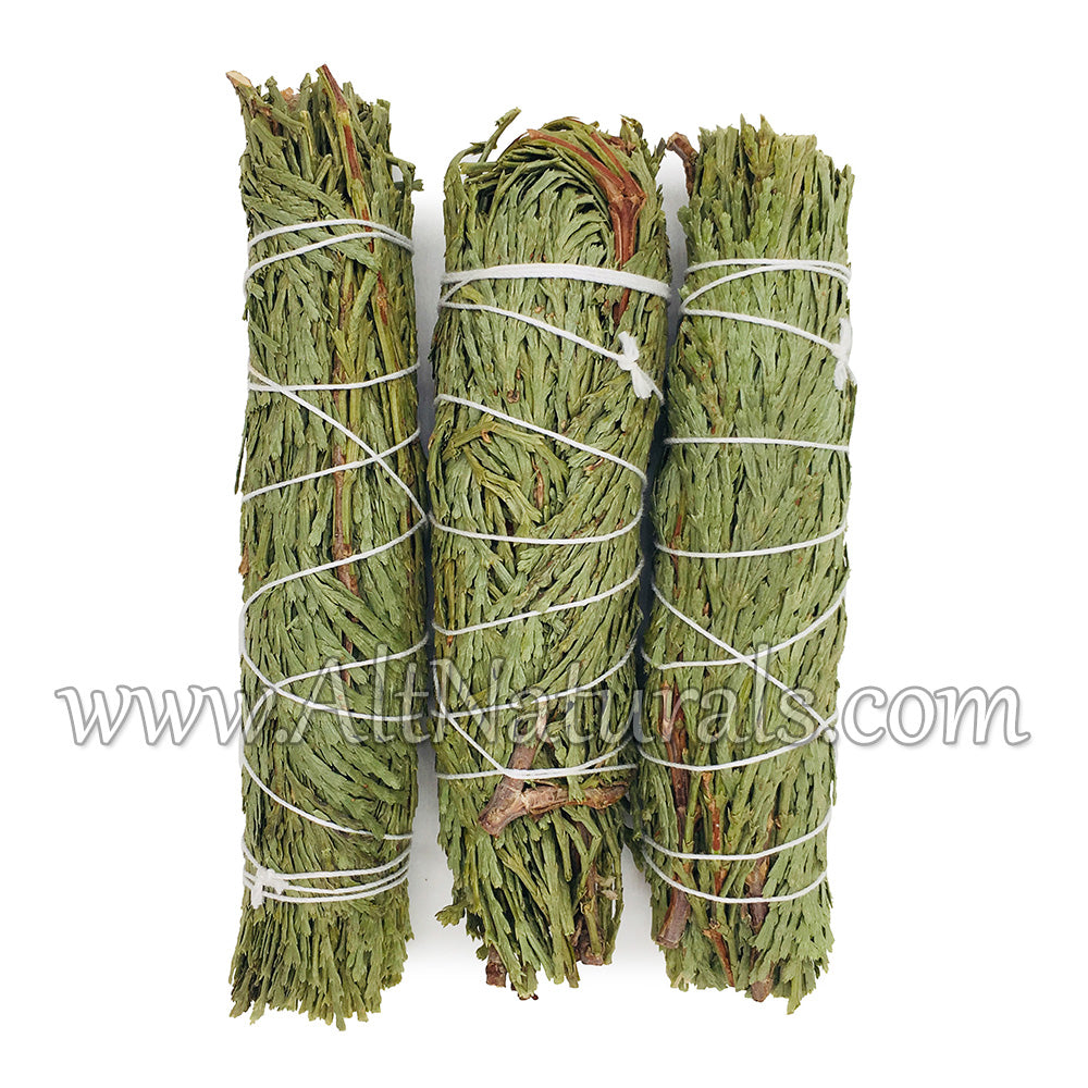 Cedar Incense Bundle (Pack of 3)